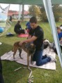 /album/smaragd-agility-kupa/p9220200-2-jpg/